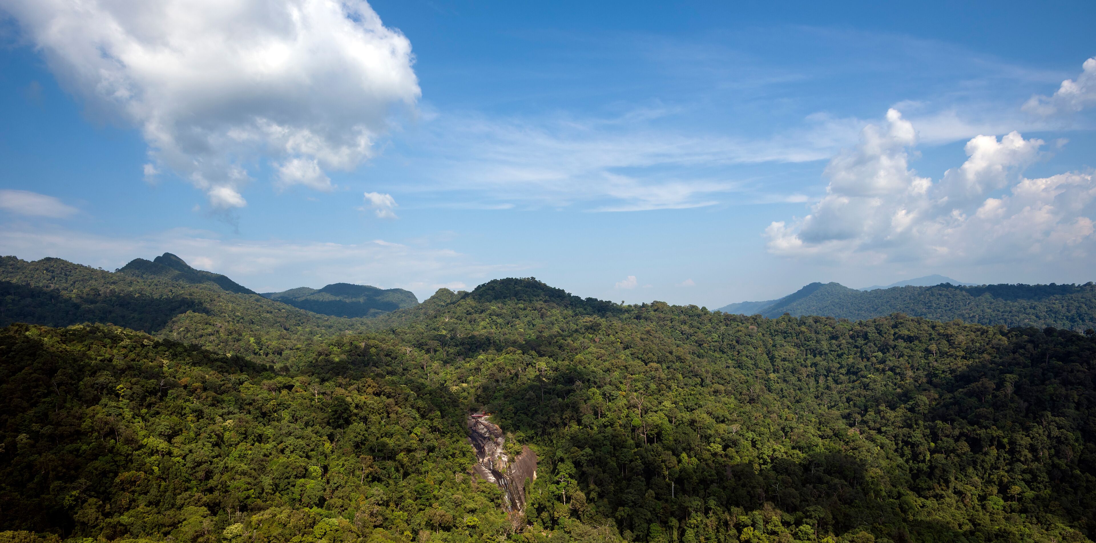 A dense forested mountain range with a clear sky.