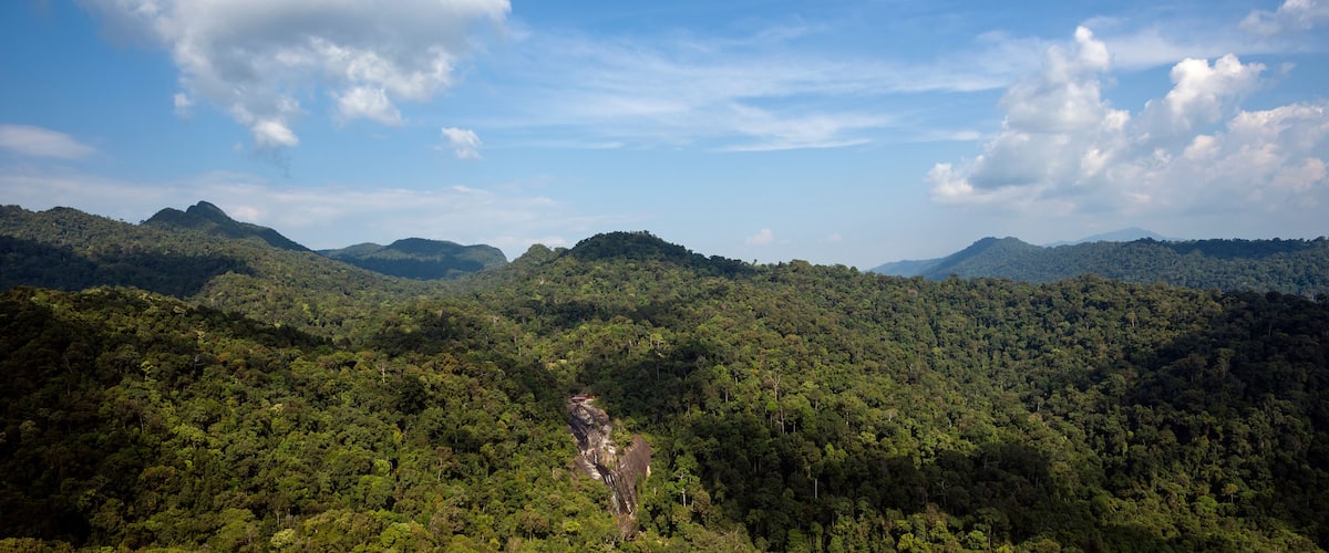 A dense forested mountain range with a clear sky.