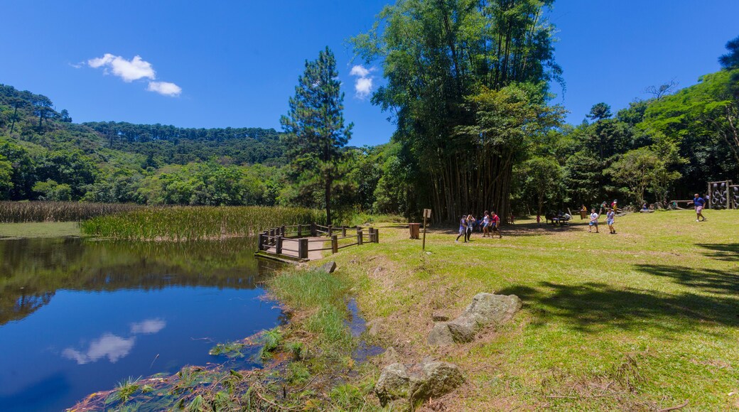 SÃO PAULO, SP, PARQUE ESTADUAL DA CANTAREIRA - Trilha entre Águas Claras e Pedra Grande. Lago das Carpas.. São Paulo. Foto: Ormuzd Alves