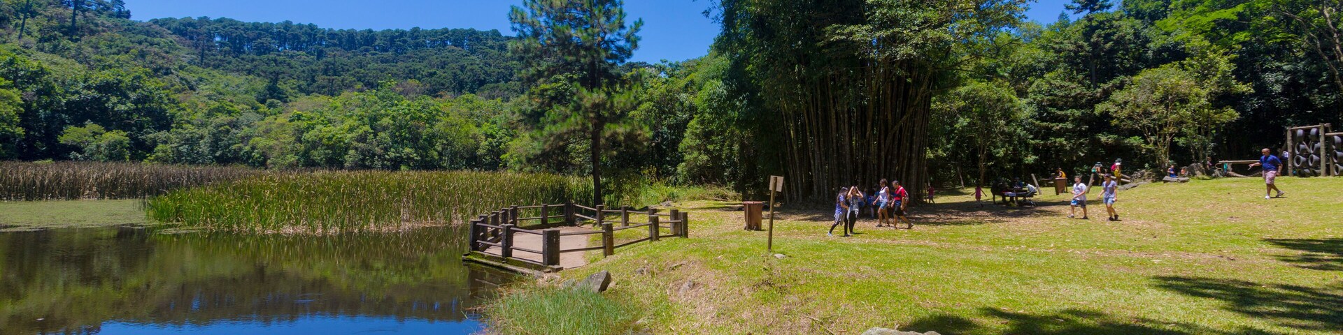 SÃO PAULO, SP, PARQUE ESTADUAL DA CANTAREIRA - Trilha entre Águas Claras e Pedra Grande. Lago das Carpas.. São Paulo. Foto: Ormuzd Alves