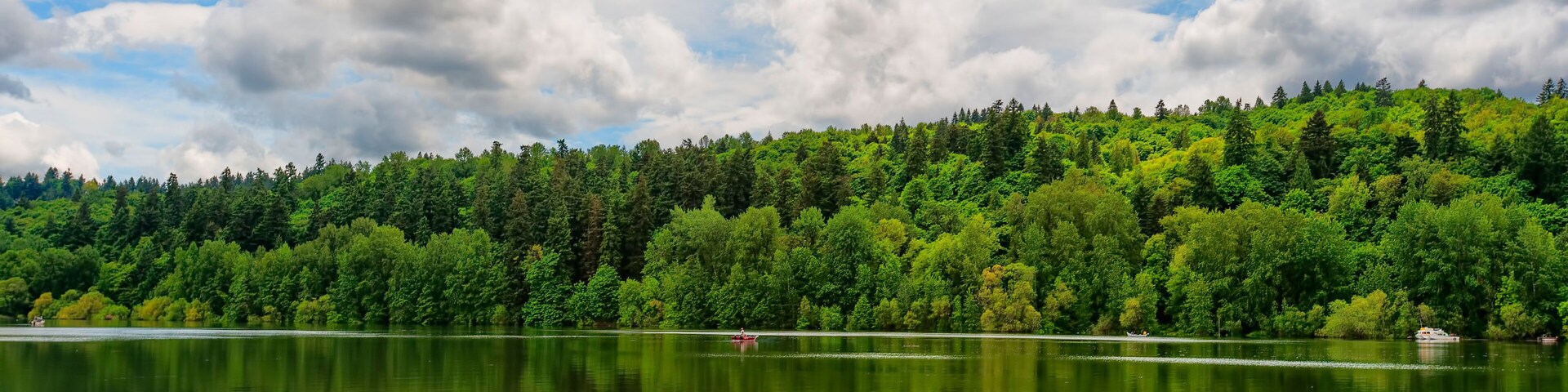 Reflecting Waters of the Willamette River