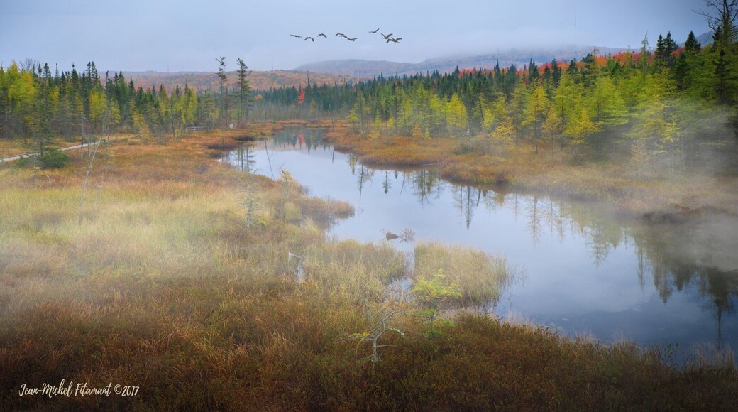 Fall atmosphere in Québec City.