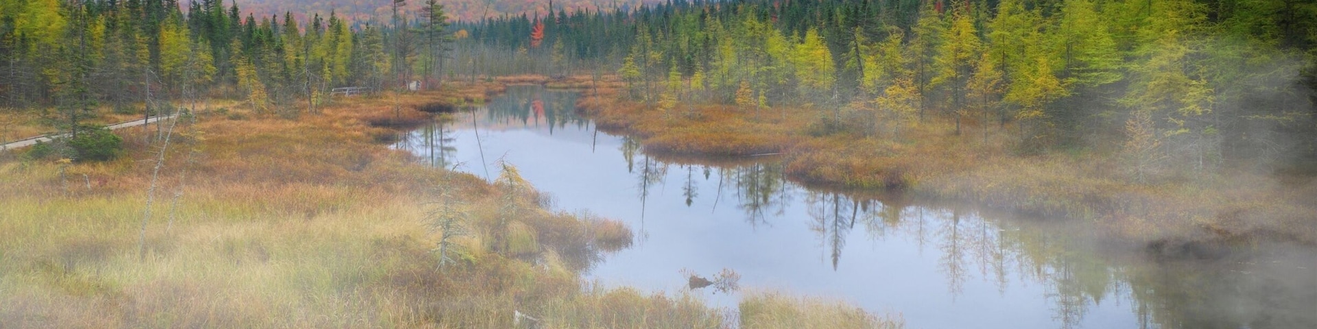 Fall atmosphere in Québec City.