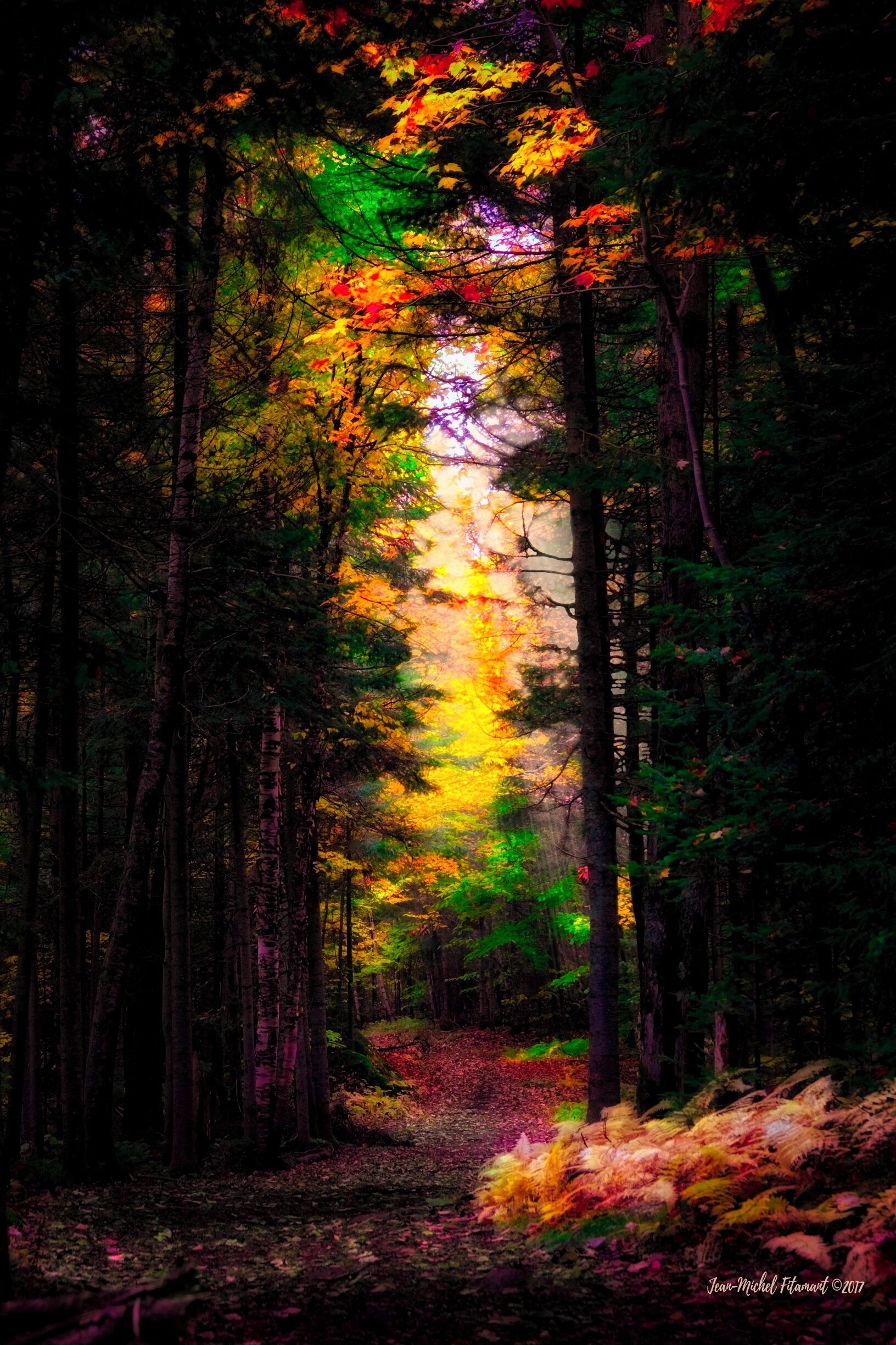 Back light fall atmosphere in Québec City.