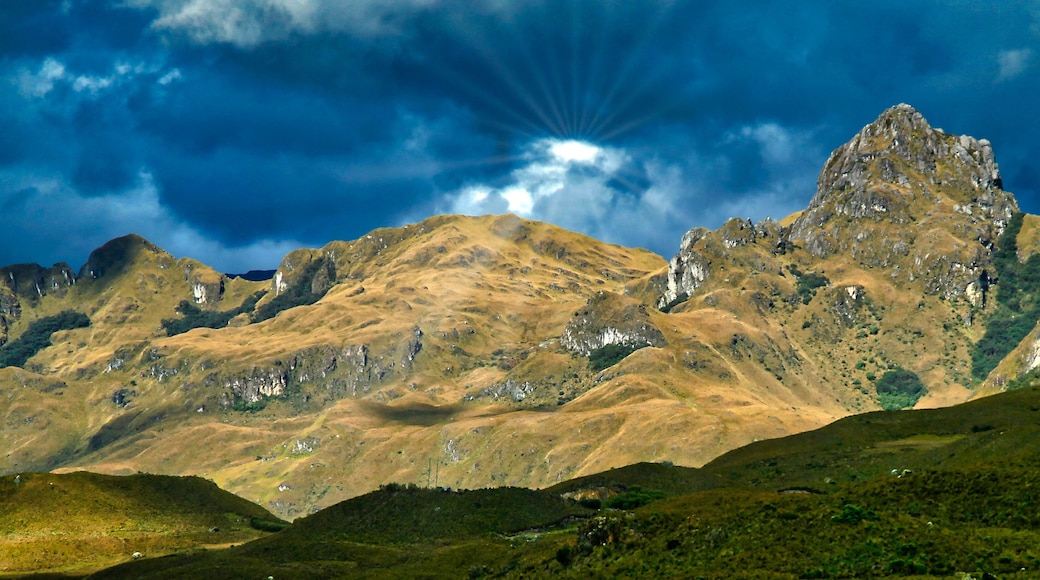 Hills and Valleys Landscape, El Cajas National Park, Grassland Ecosystem, Ramsar Wetland, Highlands, Azuay Province, Ecuador, America