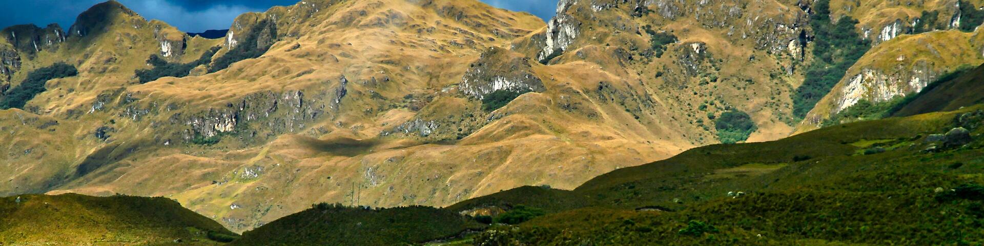 Hills and Valleys Landscape, El Cajas National Park, Grassland Ecosystem, Ramsar Wetland, Highlands, Azuay Province, Ecuador, America