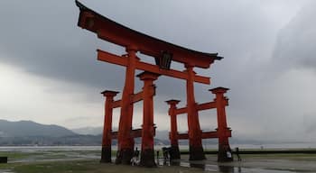 0_d4acce71-6ef9-405a-9ca9-901d48035cd8_raw