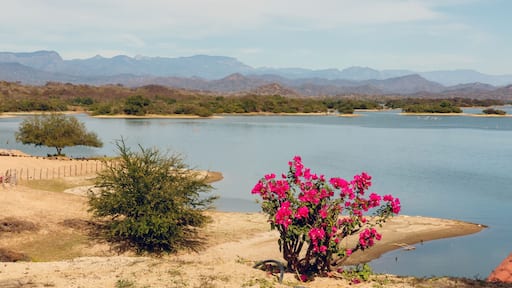 A lake with mountains in the background and a bush with pink flowers in the foreground.