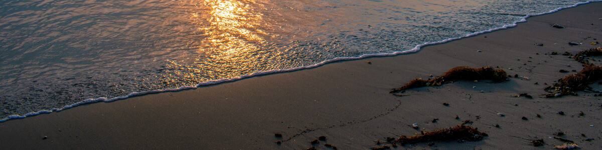 Background Image for Sale Ad or Vacation - Sunrise Over the Atlantic - Lewes Beach Delaware