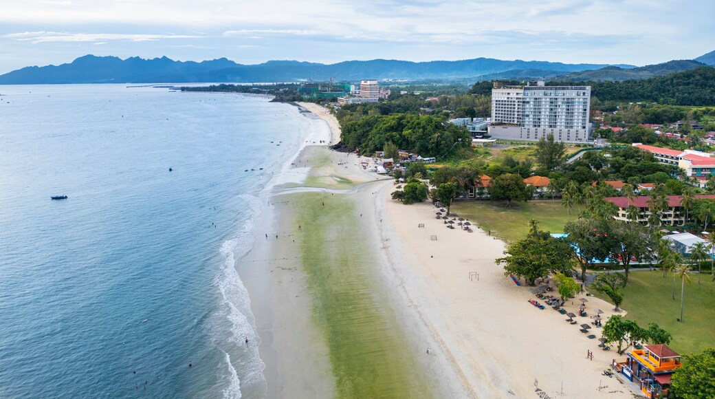 ๋ฃจ๋ณต ๋ถ์์ผ