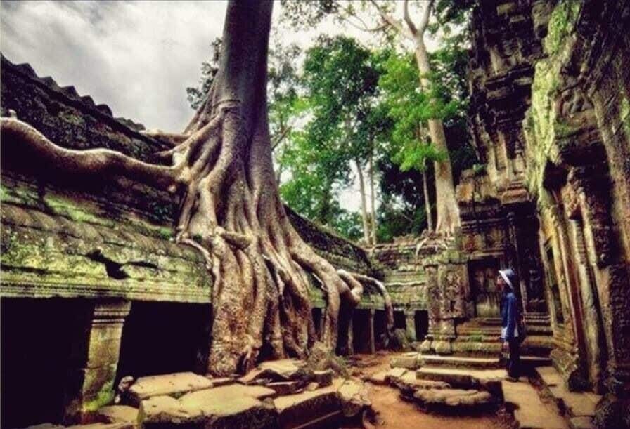 A temple with large tree roots intertwined with the structure.