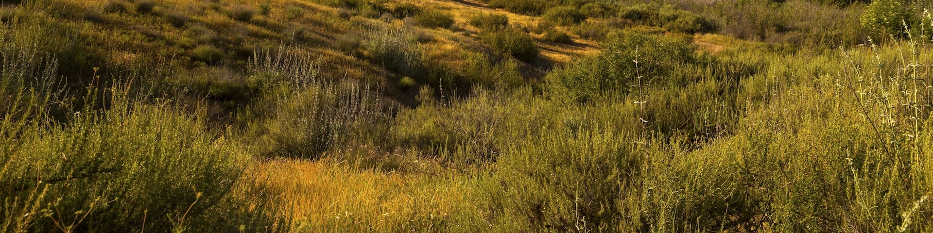 Landscape View of Inland Lake Hodges and Bernardo Mountain from great hiking trail near Rancho Bernardo and Escondido in San Diego County California USA; Shutterstock ID 639289603; Purchase Order: -