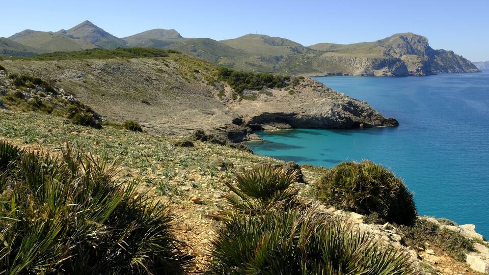 A coastal landscape with rocky terrain, green vegetation, and a clear blue sea.