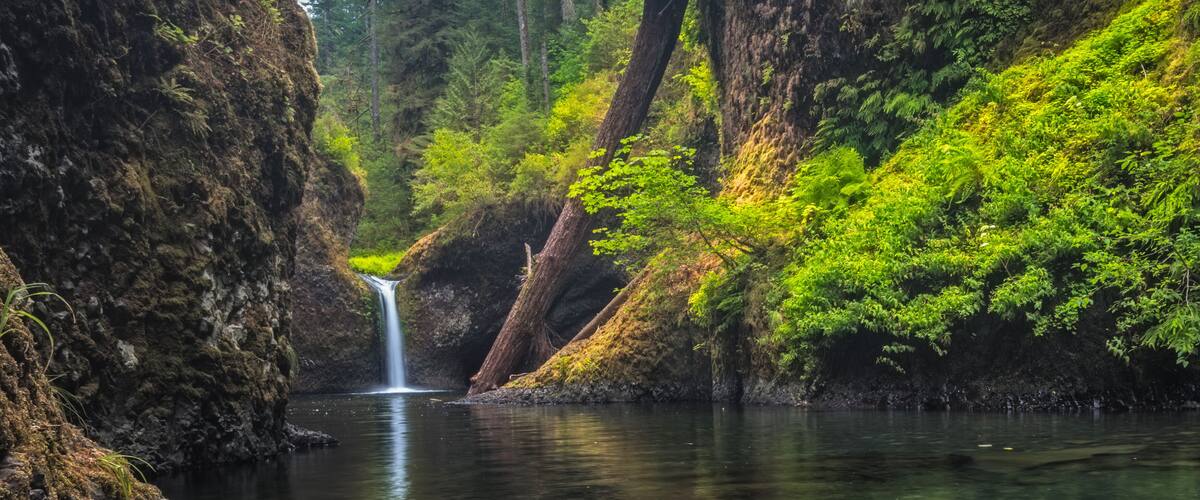 waterfall in the forest, Portland, Oregon