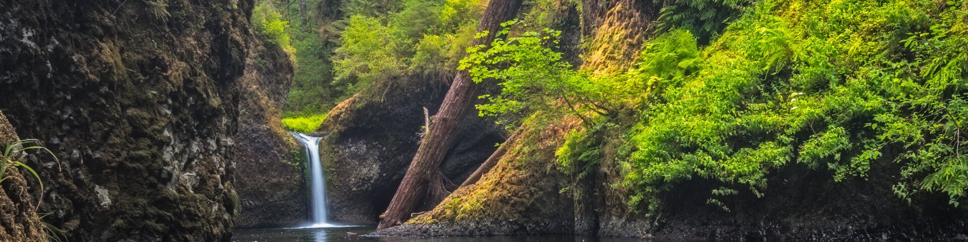 waterfall in the forest, Portland, Oregon