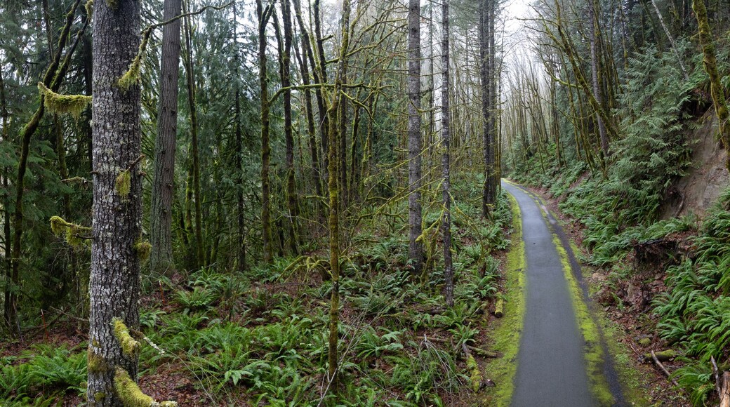 Parc de Portland Oest