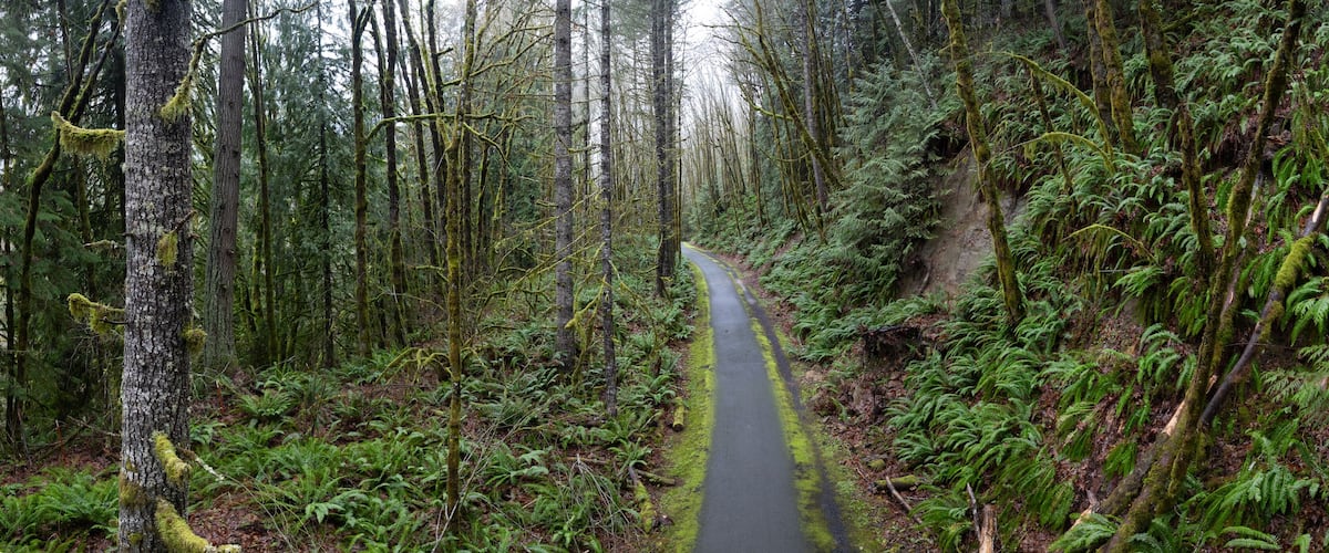 Trees line the scenic Banks Veronia trail, an old railroad bed about 25 miles west of Portland, Oregon. This forested area is popular amongst hikers, bikers, and campers.