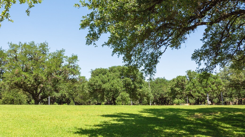Green city park in midtown area of Houston at daytime during spring season. Row of huge oak trees, grassy lawn, pathway and clear blue sky. Urban recreation and outdoor activities background. Panorama