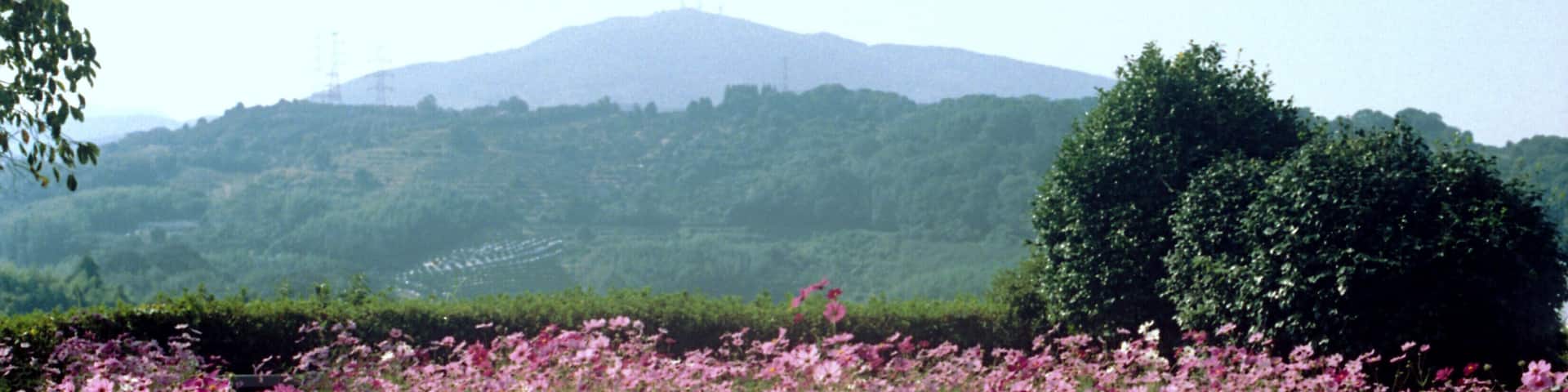 田原坂・薩軍墓地