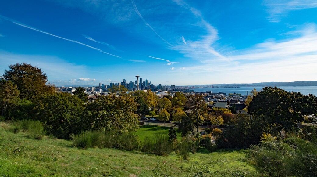 Seattle, Washington Summer Day Downtown Background With Blue Skies