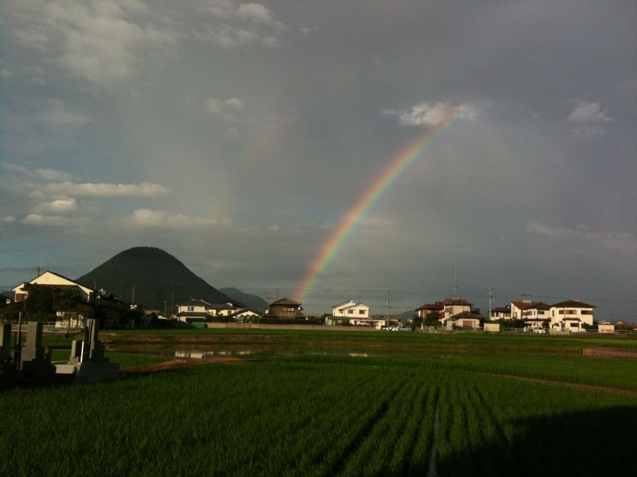 A rural landscape with a rainbow, green fields, and houses.