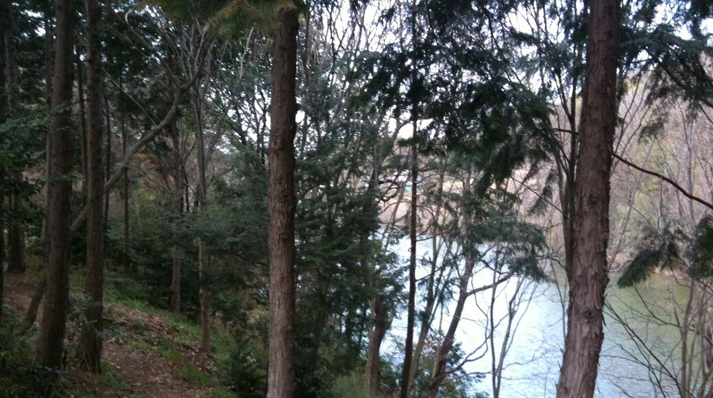 香川県丸亀市綾歌町栗熊東 山一木材 KITOKURAS