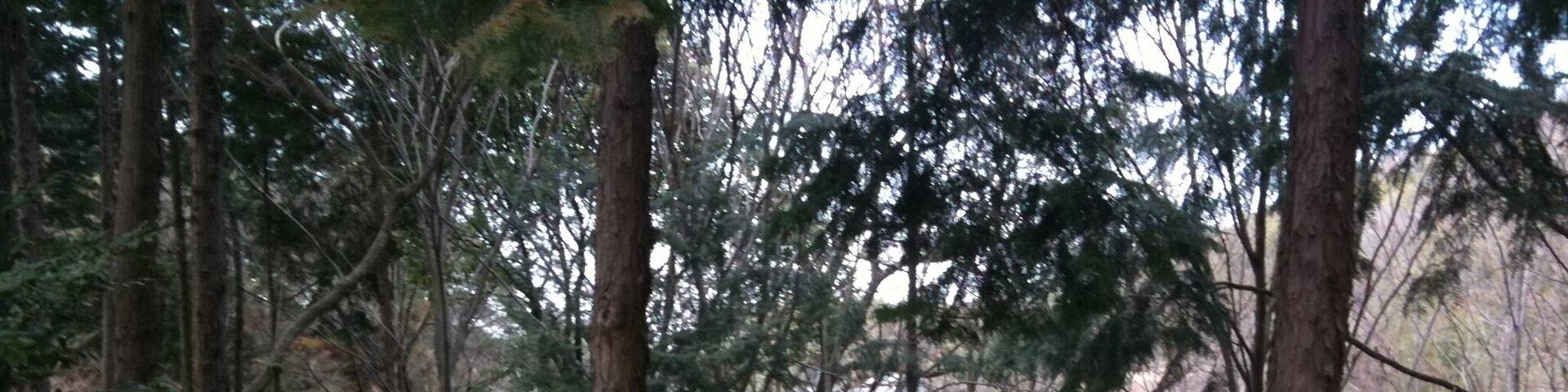 香川県丸亀市綾歌町栗熊東 山一木材 KITOKURAS