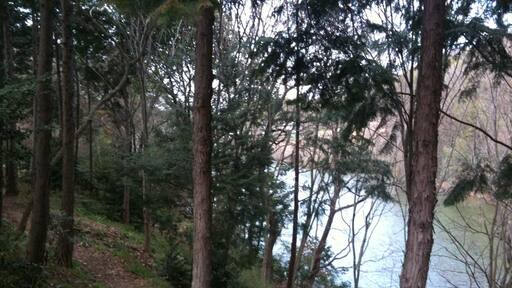 香川県丸亀市綾歌町栗熊東 山一木材 KITOKURAS