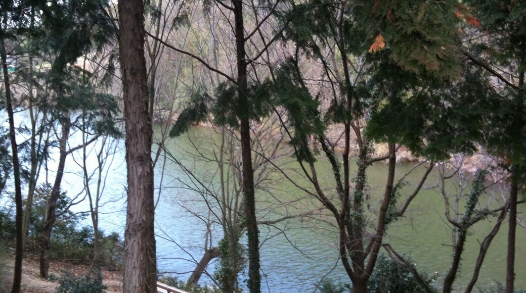 香川県丸亀市綾歌町栗熊東 山一木材 KITOKURAS