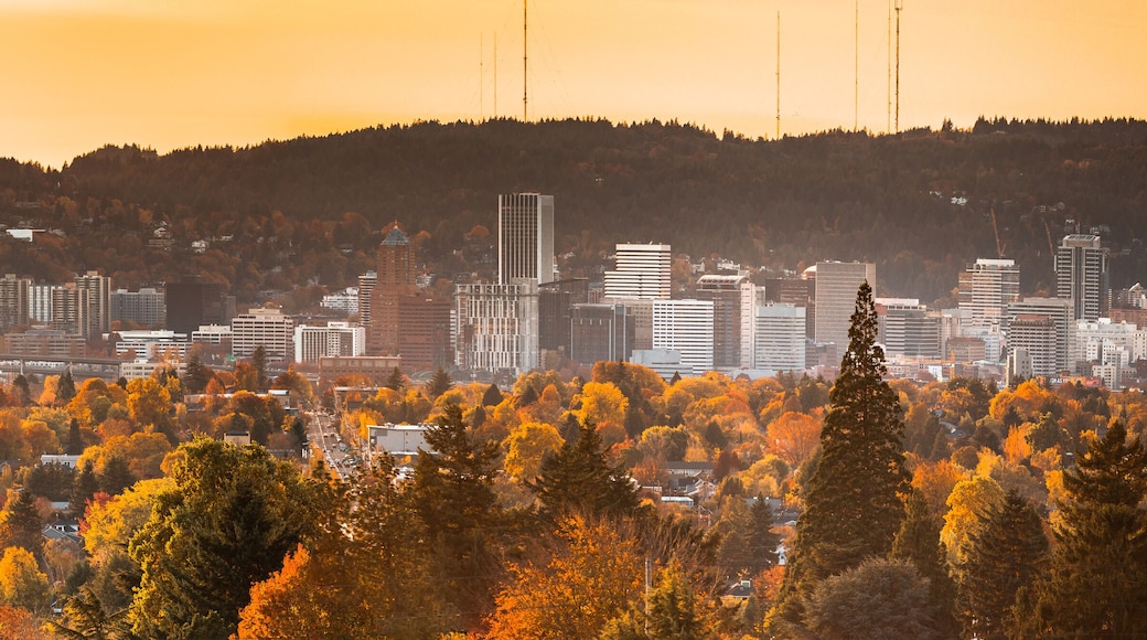 Portland downtown skyline with autumn trees view from Mt. Tabor's water reservoirs