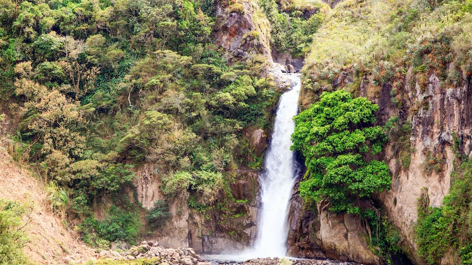 A waterfall cascading down a rocky cliff surrounded by lush greenery.