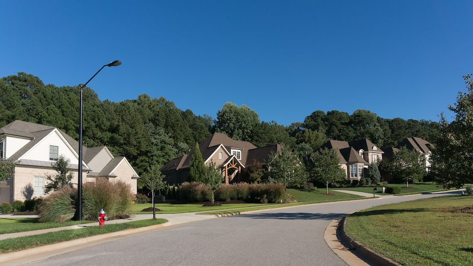 A suburban street with houses, a fire hydrant, and a street lamp.