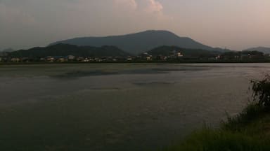 ้ฆๅท็ไธธไบๅธ