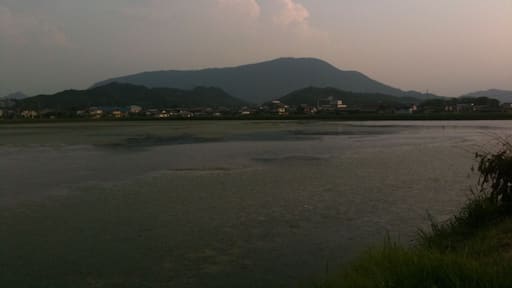 ้ฆๅท็ไธธไบๅธ