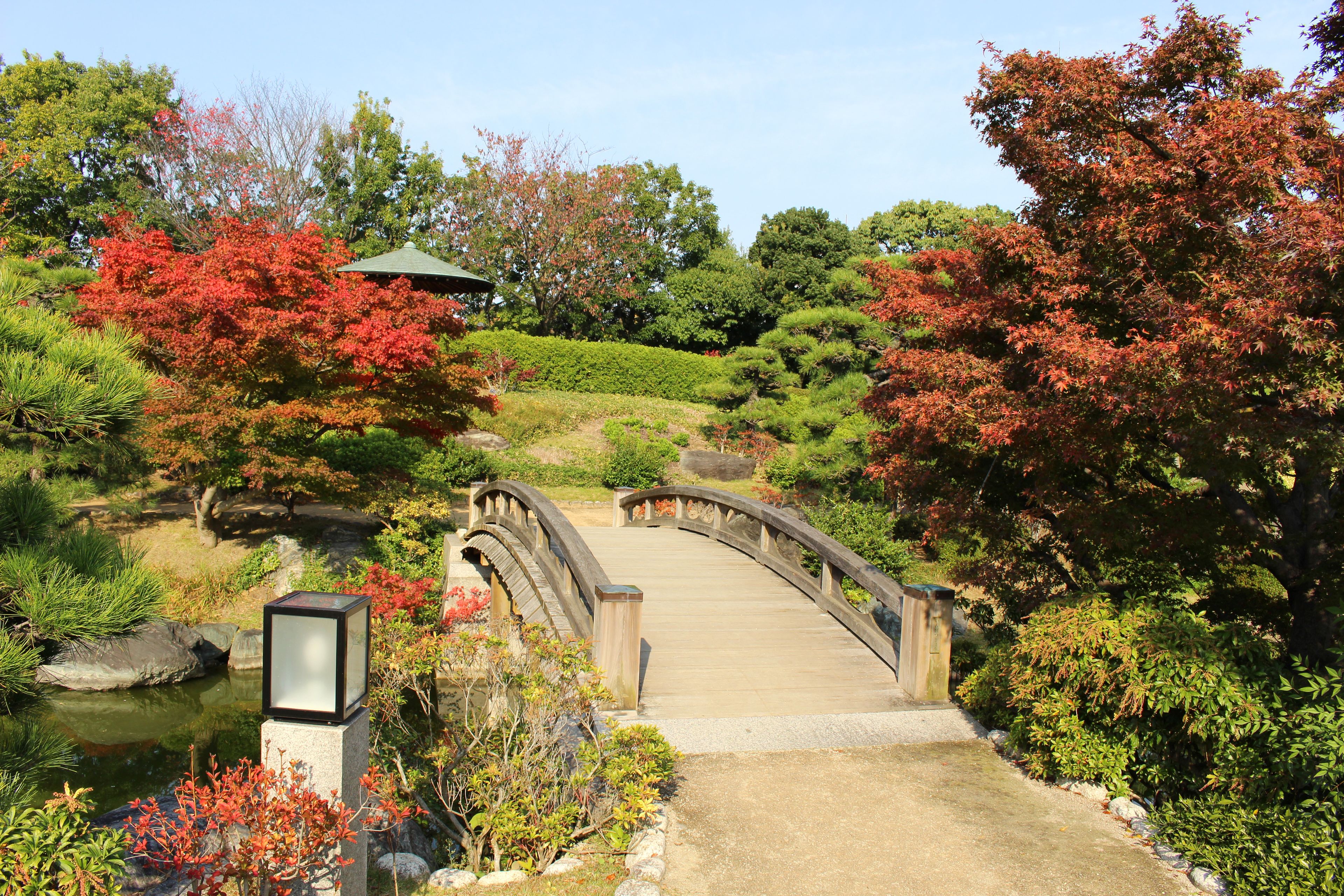 大阪府堺市　大仙公園日本庭園の紅葉