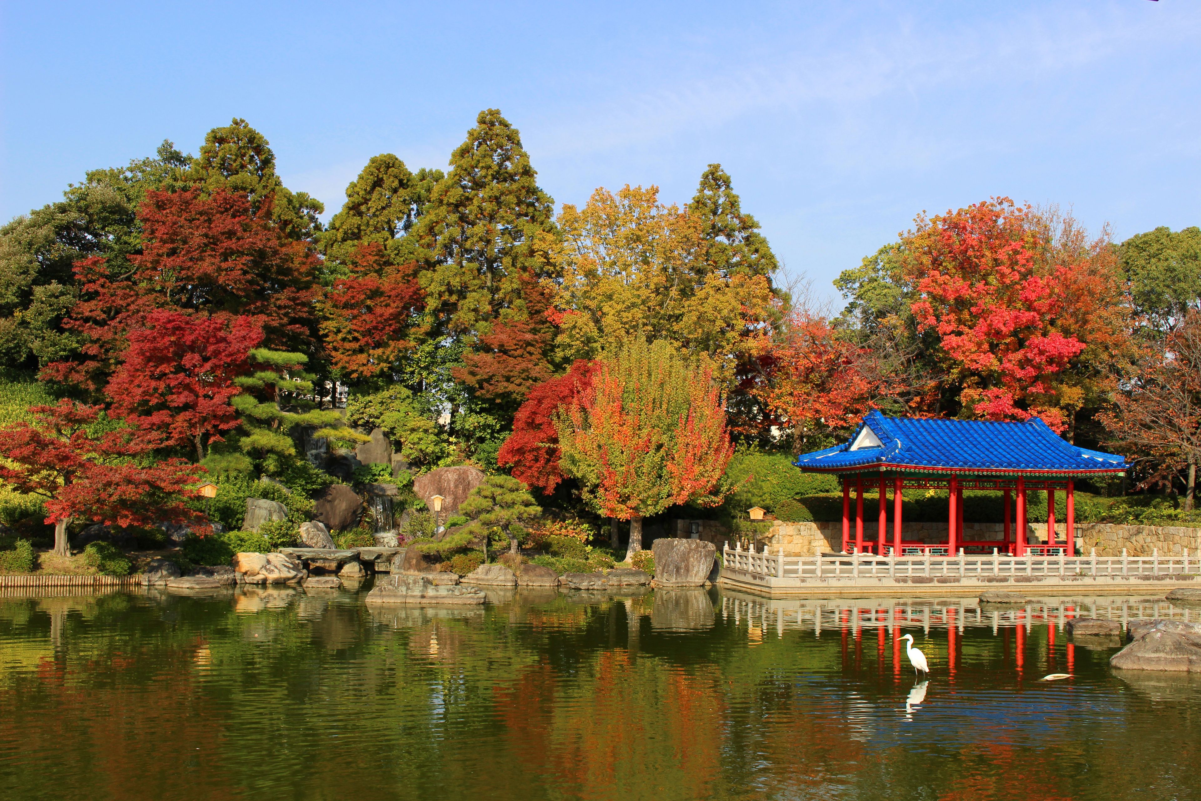 大阪府堺市　大仙公園日本庭園の紅葉 (Japanese garden)