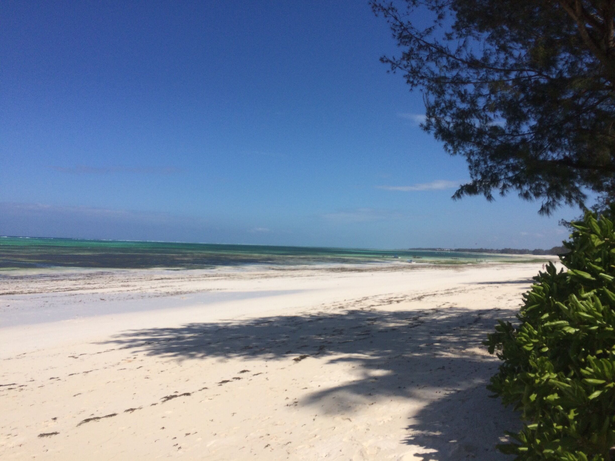 Отличное место! 