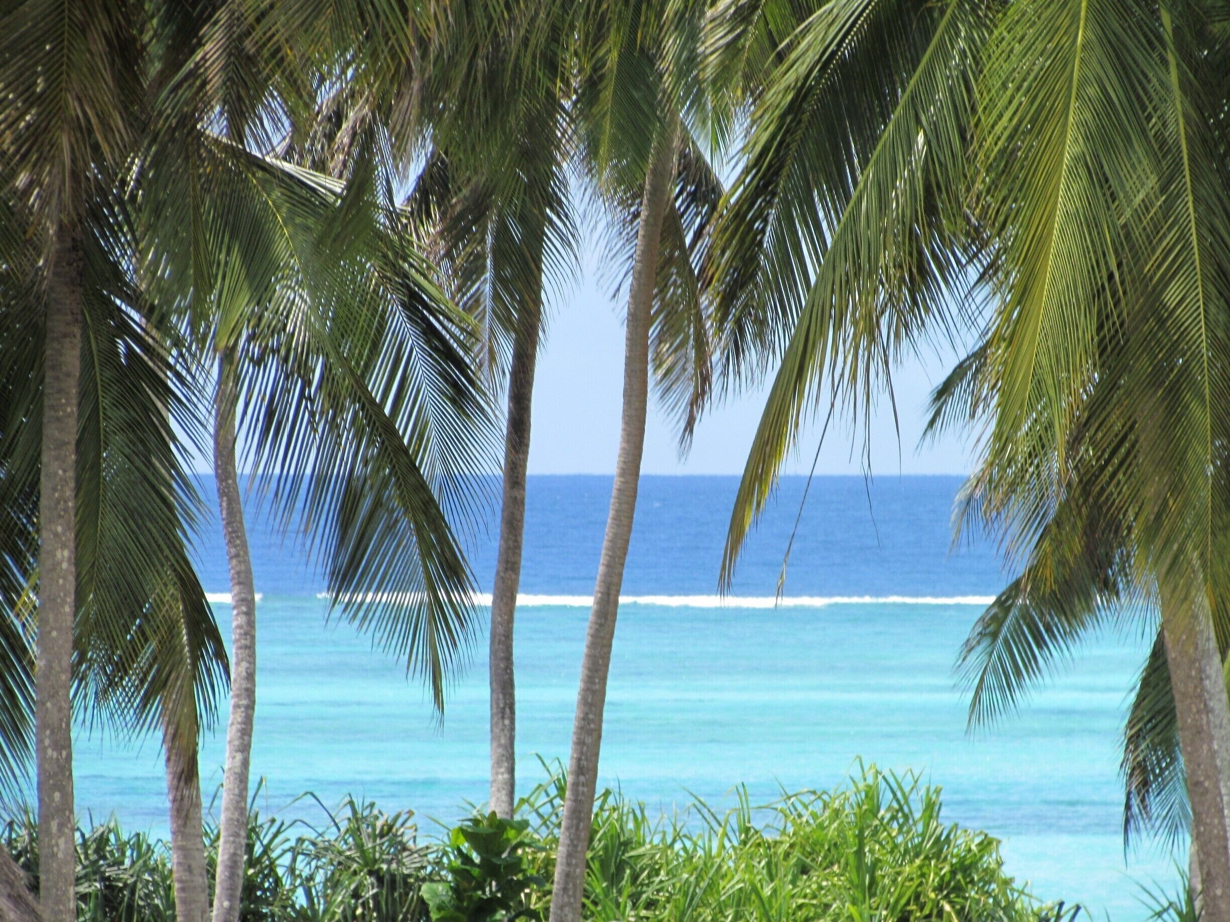 After the safari, we spent a couple days in the shade relaxing and reading.  #beach