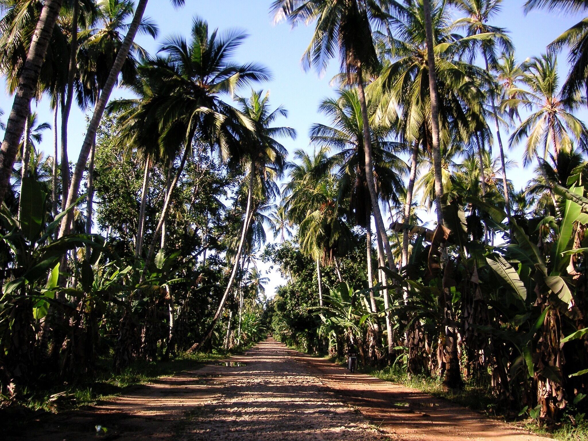 The road to paradise. This was the last stretch of road that took me from Stone Town to Nungwi Beach. 