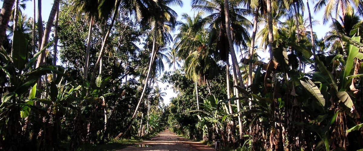 The road to paradise. This was the last stretch of road that took me from Stone Town to Nungwi Beach.