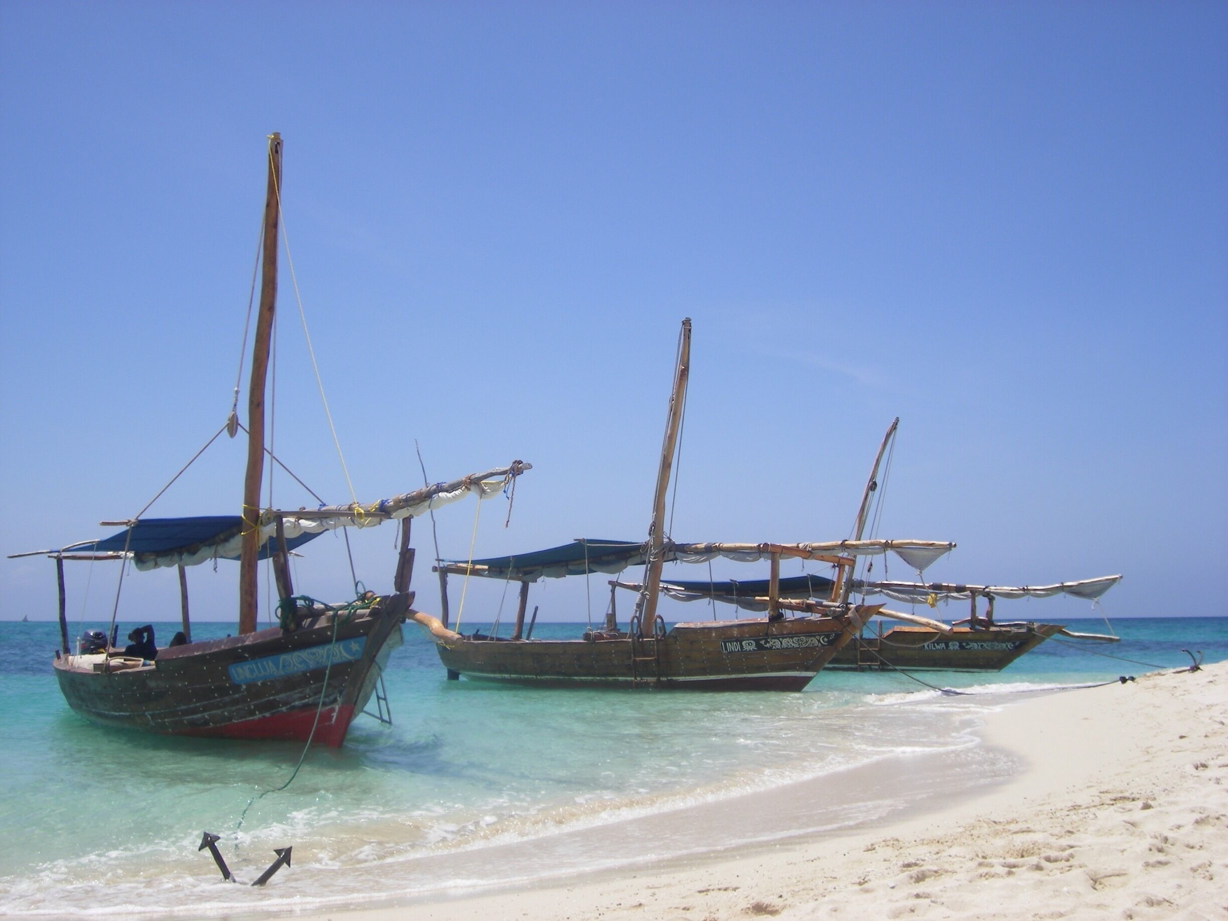 On a blue safari...somewhere in the Indian ocean