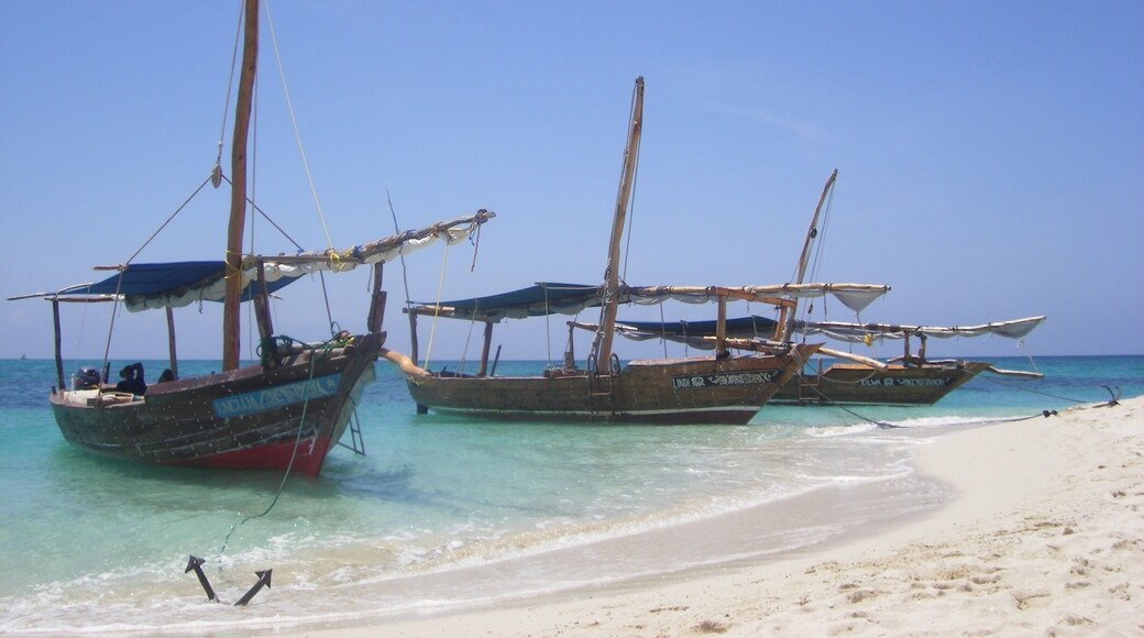 On a blue safari...somewhere in the Indian ocean
