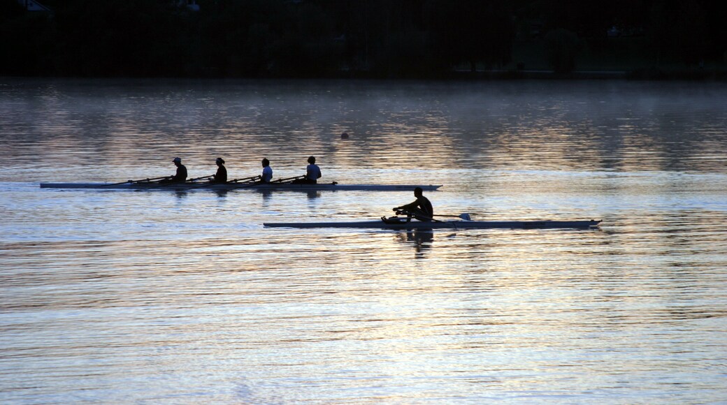People rowing on Green Lake at sunrise in Seattle Washington