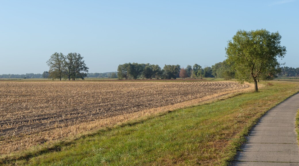 Field path next to a harvested field in Brandenburg