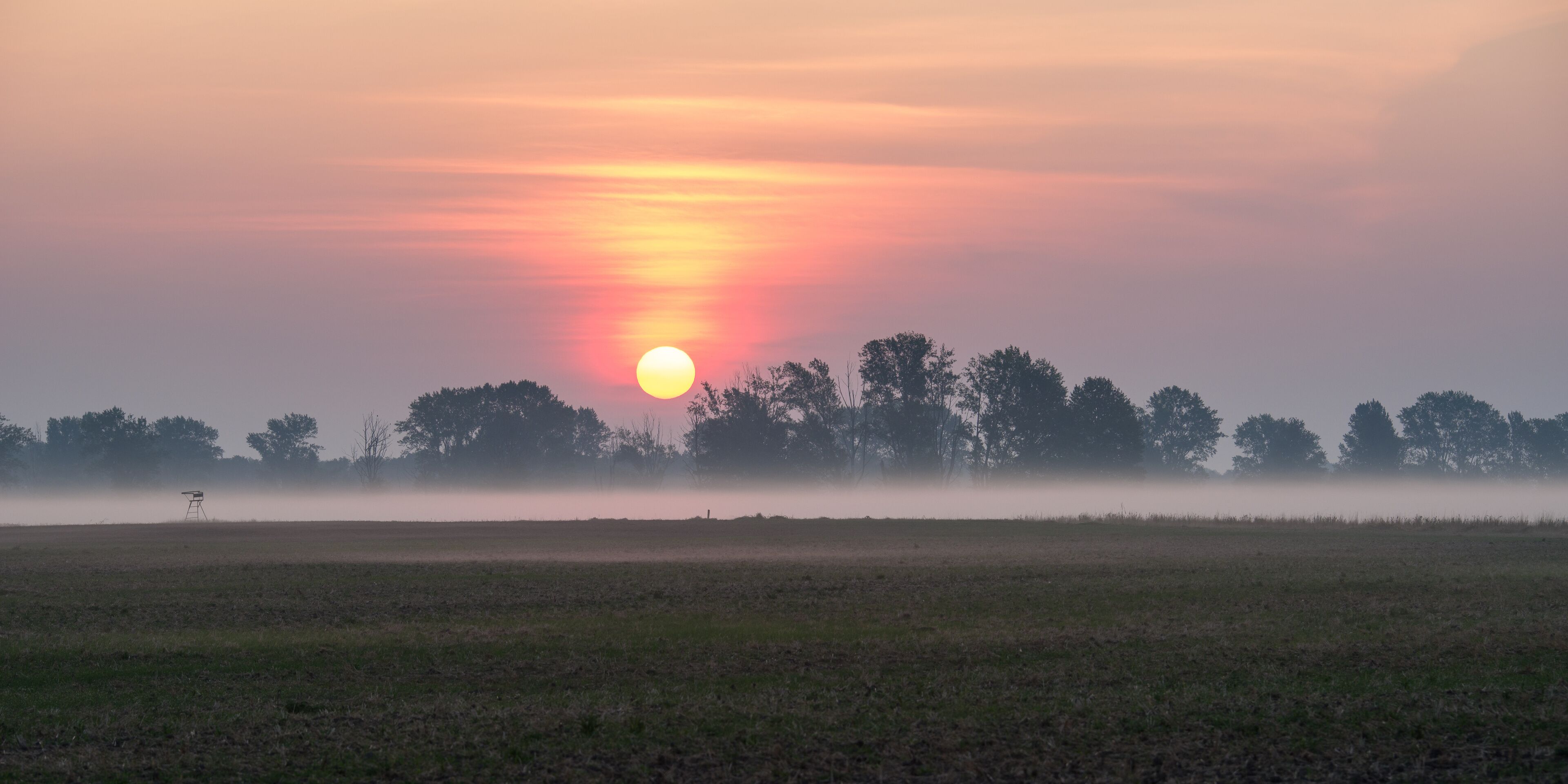 Scenic View Of Field Against Sky During Sunrise