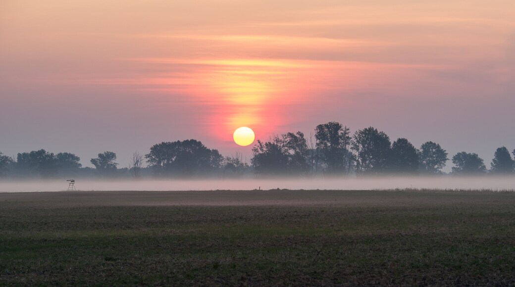 Scenic View Of Field Against Sky During Sunrise