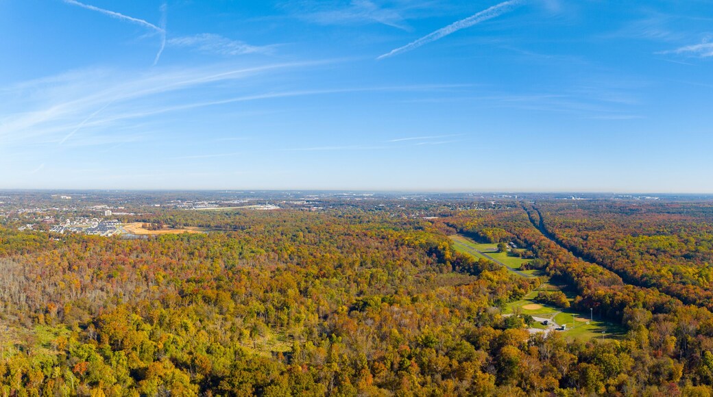 Aerial drone photo fall foliage Maryland Laurel