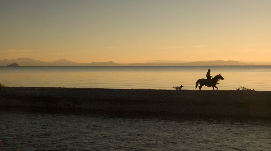 リッチモンド ハイツ