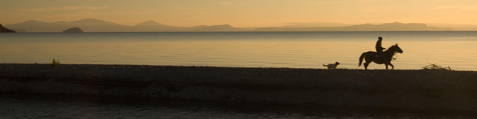 Lake Taupo sunset with horse rider