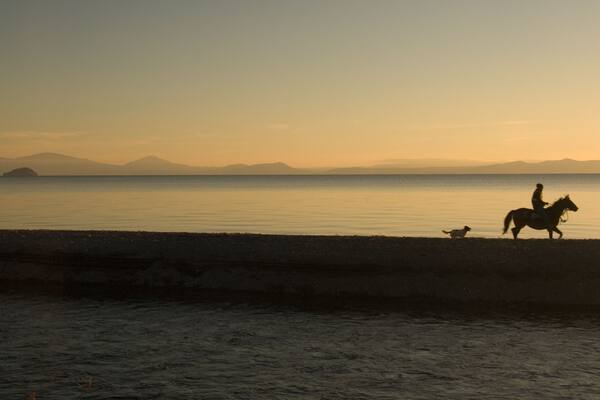 Lake Taupo sunset with horse rider